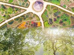 -广西壮族自治区药用植物园