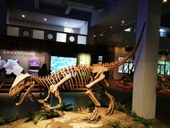 -自贡恐龙博物馆