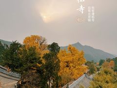 -潭柘寺景区
