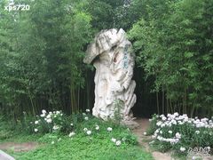 -紫竹院公园冰场