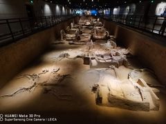 -洛阳周王城天子驾六博物馆