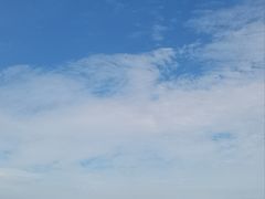 -瑰丽酒店·海吧·天际下午茶·现场DJ·天台酒吧