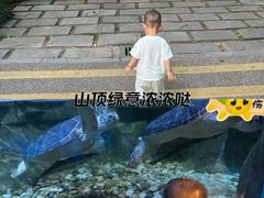 -天目湖山水园