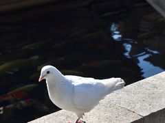 -灵山胜境