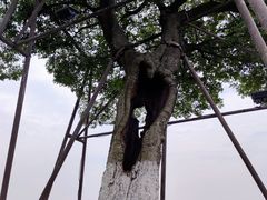 -观潮胜地公园