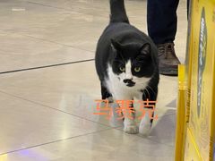 -老虎滩船说·大连海鲜(老虎滩店)