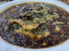 来凤鱼-瓦房兔(璧山店)