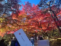-常寂光寺
