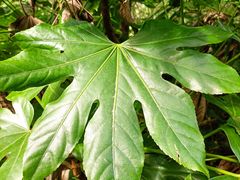 -宝岩生态观光园