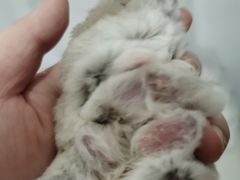 -龙猫仔乐园(惠福东路店)