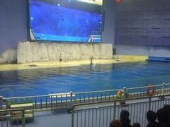 -临沂极地海洋王国