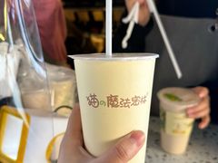 -猫的魔法密林(衣裳街店)