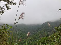 -梧桐山风景名胜区
