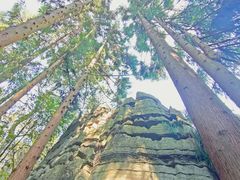 -梭布垭石林景区