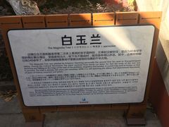 -穹窿山景区