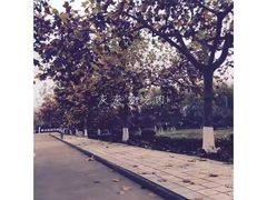 -宿迁学院