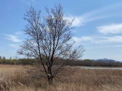 -野鸭湖国家湿地公园