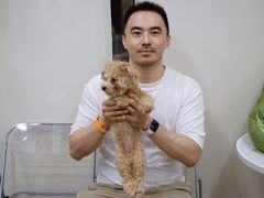 -有喵·猫咖·狗咖·40+猫狗有小奶狗(岗厦店)