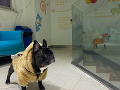 -瑞派申生动物医院·24H夜诊·国际动物医疗中心·骨外科(吴中路店)