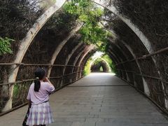 -天津东丽湖风景区