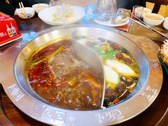 -春和饺子火锅