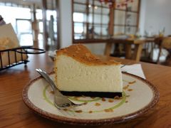 风味手工重芝士蛋糕-猫小主咖啡·猫咖cat cafe(福田店)