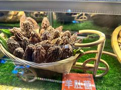 -野·大山里土鸡火锅(万科里店)