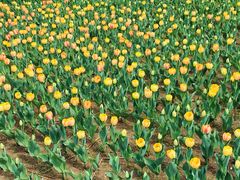 -长春公园(普阳街道)