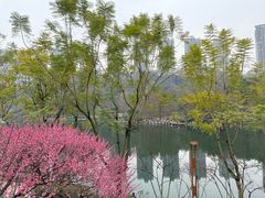 -重庆彩云湖湿地公园