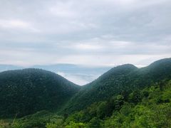-武陵山森林公园