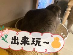 -品秀KTV(蛇口店)