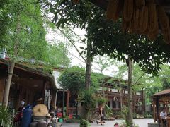 -青城甲(青城山店)