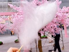 -金茂览秀城