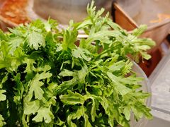 -南门四季铜锅涮肉(大屯·北苑店)