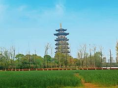 -洋湖国家湿地公园