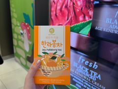 -新罗免税店(济州店)