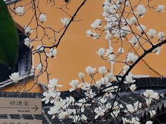 -龙华寺