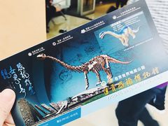 -自贡恐龙博物馆