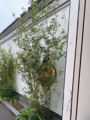点击看大图 -爱儿美儿童摄影(五路居花园别墅店)
