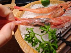 -沼津港精致料理·寿喜烧·烧鸟(青浦宝龙广场日料榜单店)