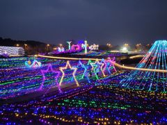 -大塘金香草谷