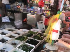 -清平路水族市场