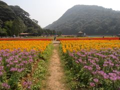 -广州市石门国家森林公园
