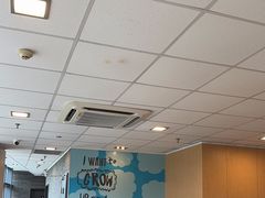 -麦当劳(开萝大道店)