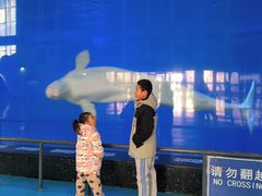 -泉城欧乐堡海洋极地世界