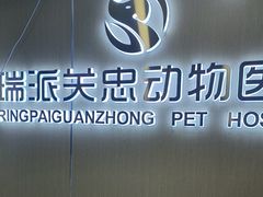 -瑞派·关忠动物医院·猫专科·犬专科(三环新城店)