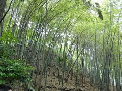 android_upload_pic-穹窿山景区