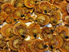 -钱大妈海鲜饭店(保利林语店)