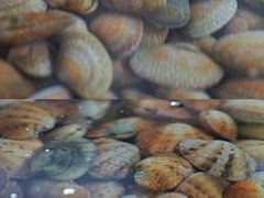 -三亚火车头万人海鲜广场