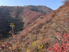 -水峪民俗村